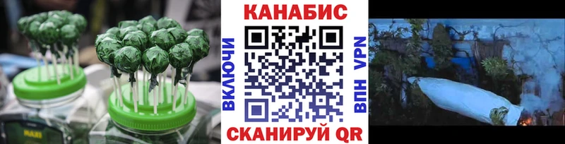 где найти наркотики  Шенкурск  Cannafood марихуана 