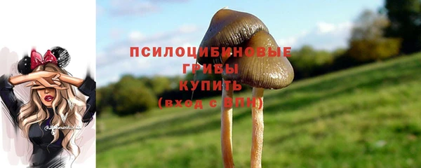 синтетический гашиш Алексеевка