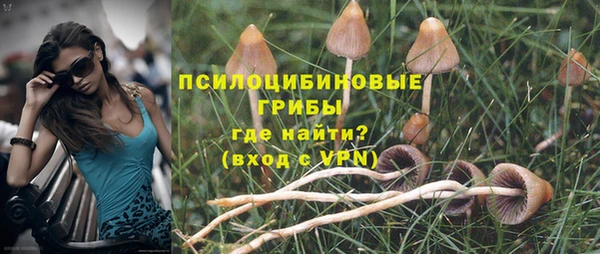 сатива Алексин